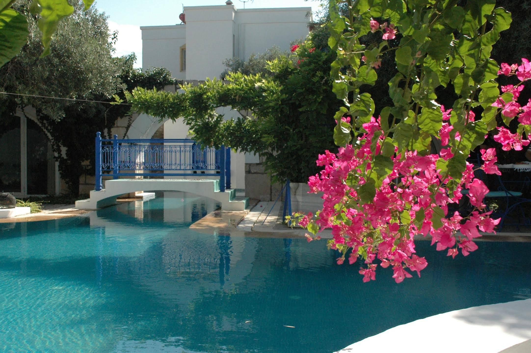 Konacik Villa Oliva Butik Hotel מראה חיצוני תמונה
